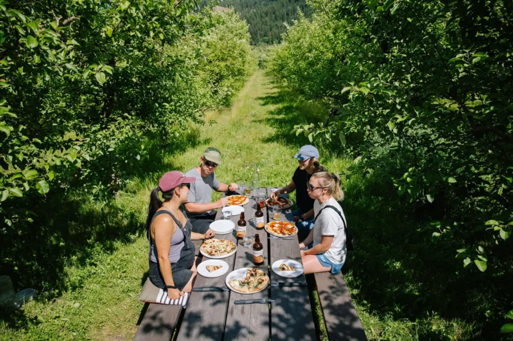 6984e02f2edfc-image_