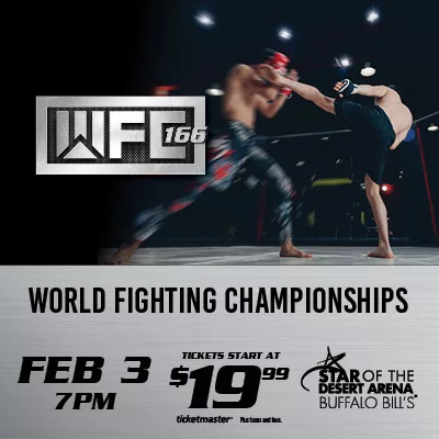 FIGHTERS IN BACKGROUND OF WFC LOGO