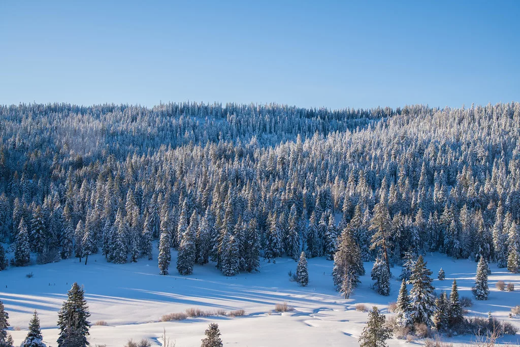 The Cascade-Siskiyou National Monument during winter
