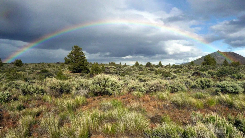 Part of the Lava Beds National Monument