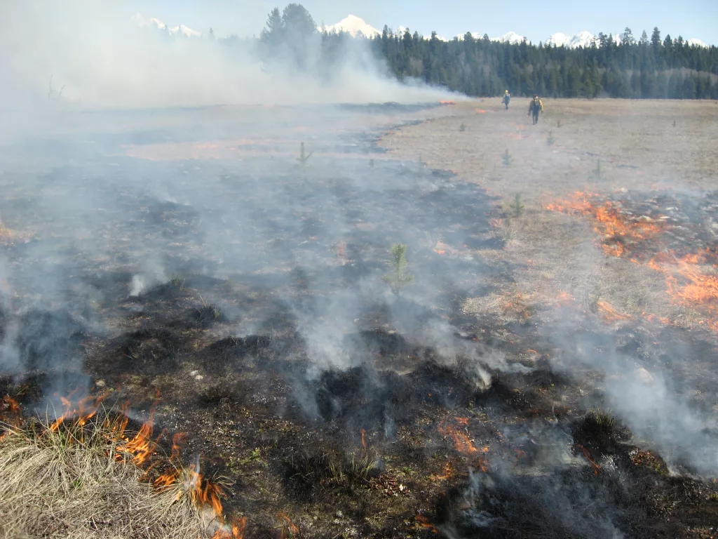 Fremont-Winema National Forest plans spring prescribed burning