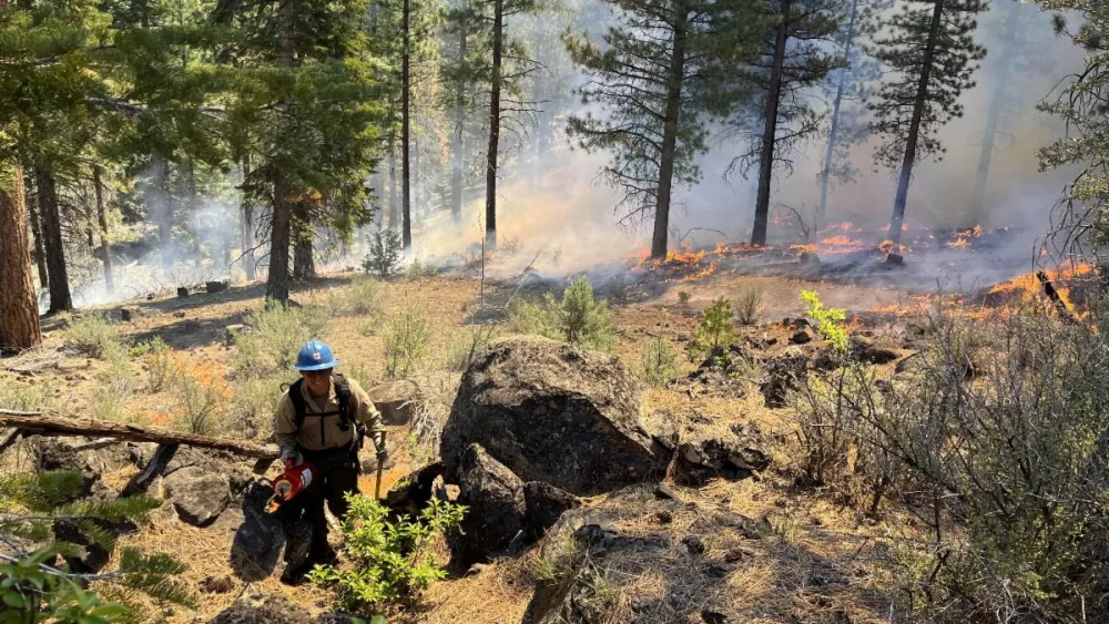 A Klamath National Forest firefighter during ignitions at the Van Bremmer prescribed burn on the Goosenest Ranger District, spring 2023.