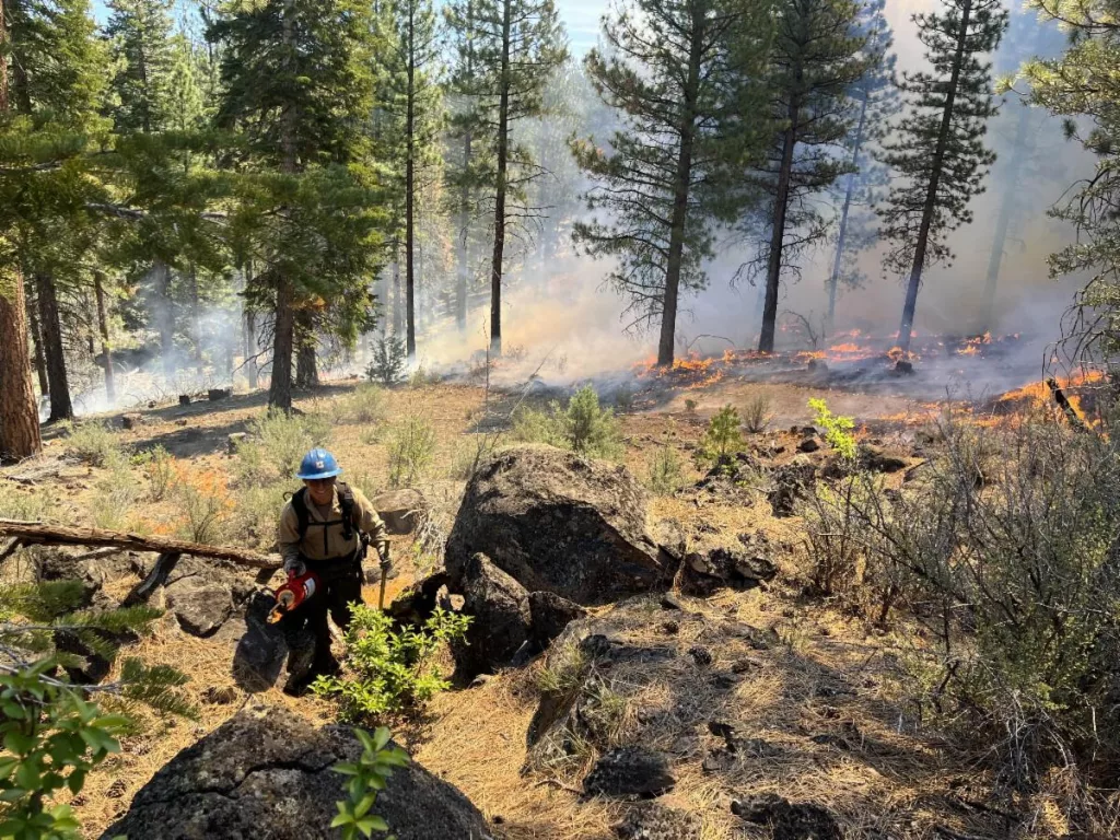 A Klamath National Forest firefighter during ignitions at the Van Bremmer prescribed burn on the Goosenest Ranger District, spring 2023.