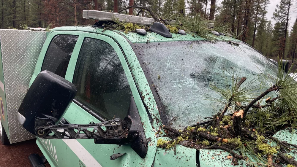 A US Forest Service vehicle with a broken windshield after a tree fell on it