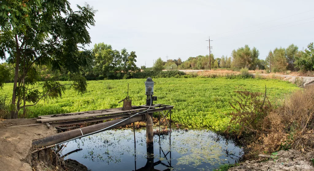 Groundwater