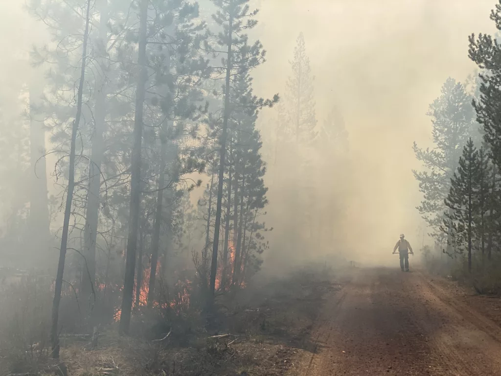 Thick smoke in the forest around the Little Yamsay Fire