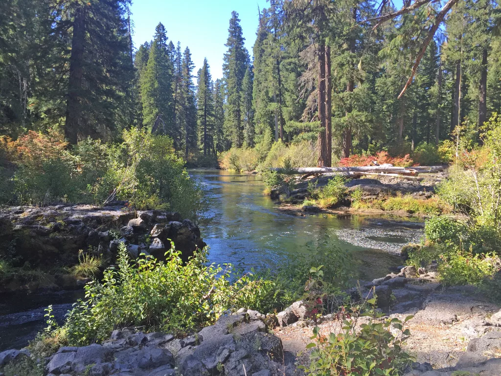 The Rogue River-Siskiyou National Forest