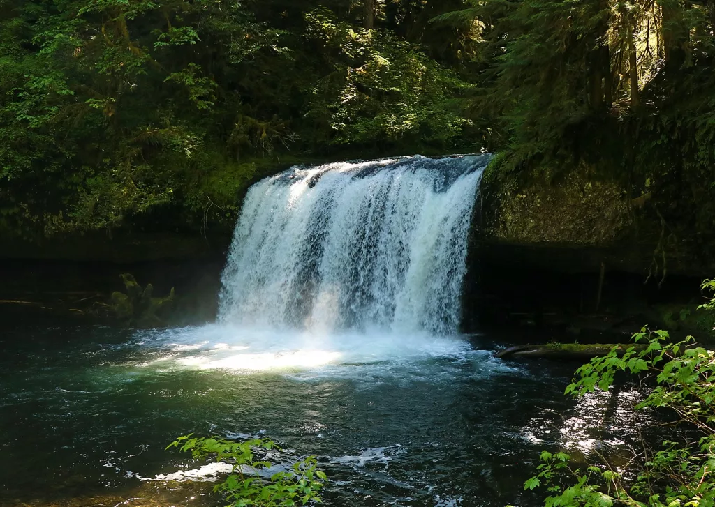 Butte Creek Falls