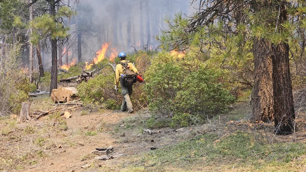 A firefighter battling a wildfire