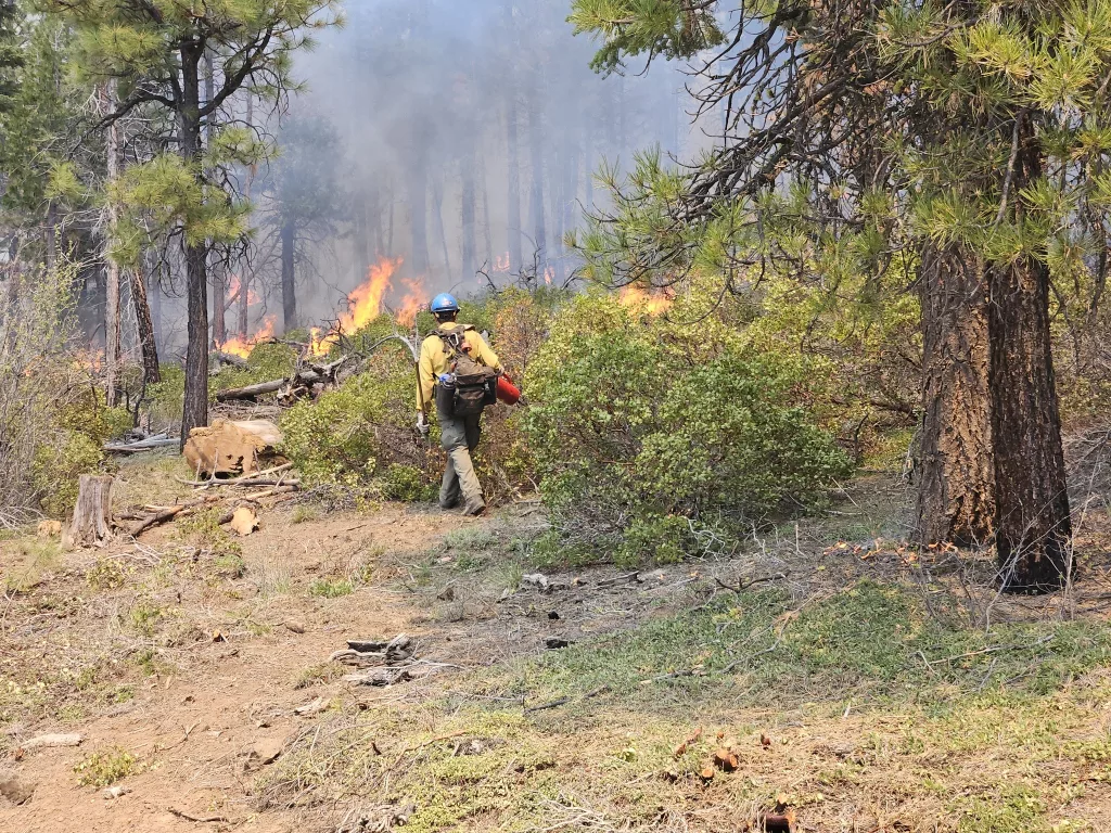 A firefighter battling a wildfire