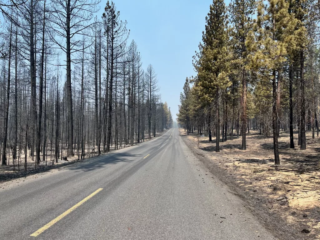 A road through the Darlene 3 Fire area