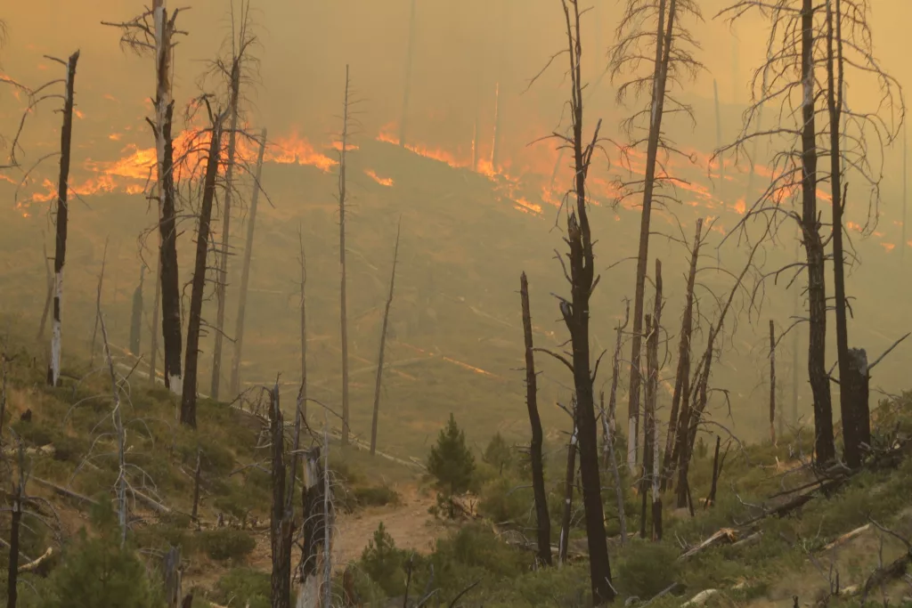 A photo of the Falls Fire