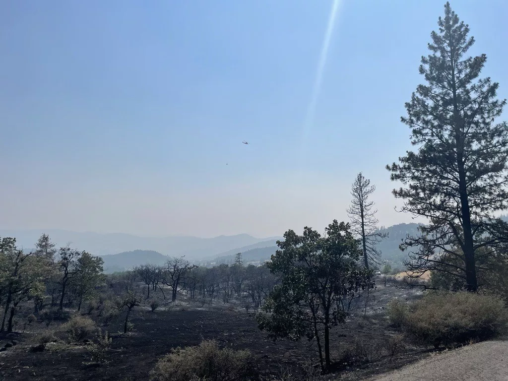 A helicopter flies over area burned by the Salt Creek Fire