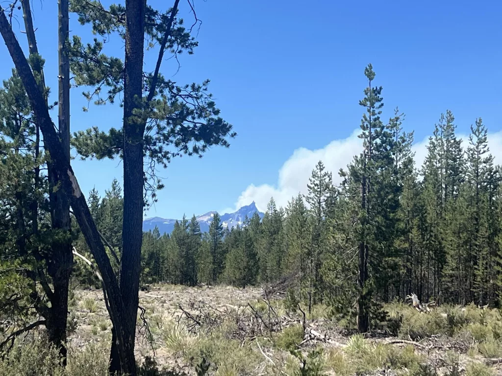 A photo of the Trail Fire