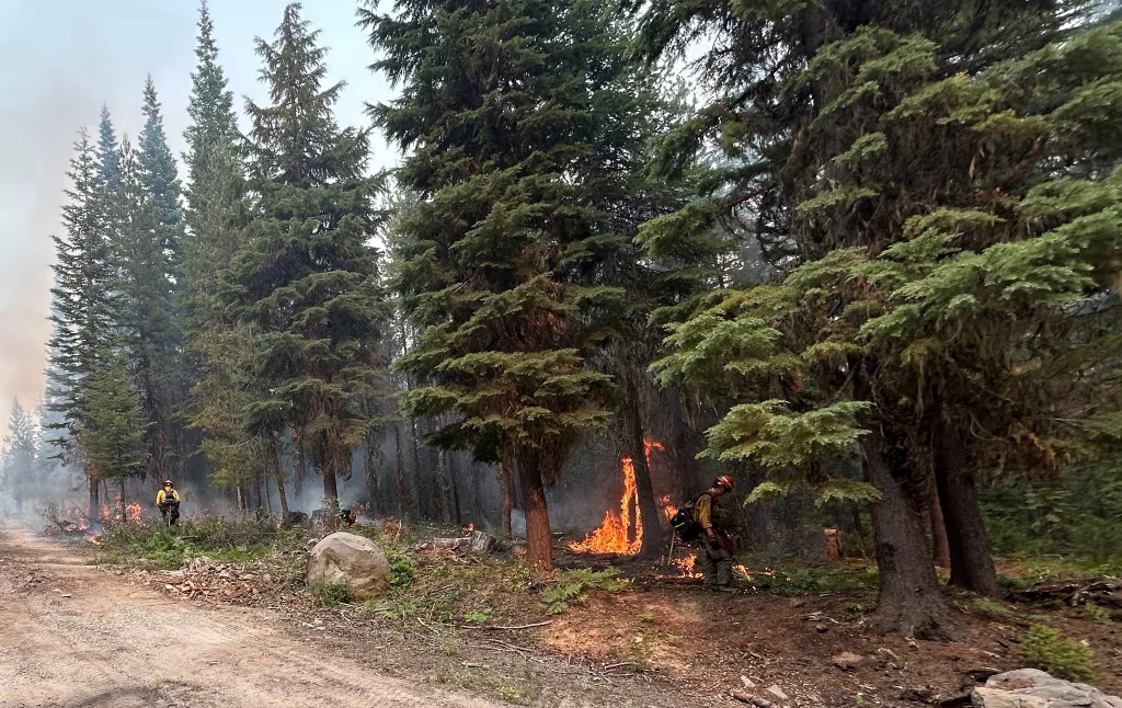 Engine 334's crew using fire to establish control lines near a road to remove vegetation from any progressing fire