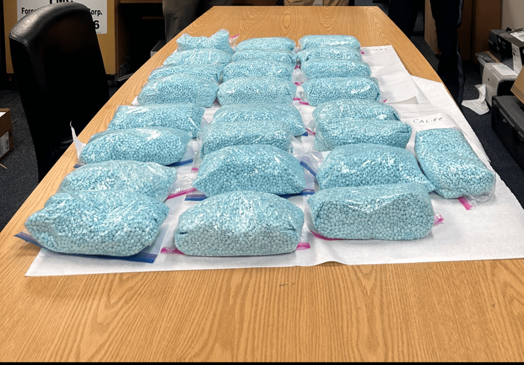 Seized fentanyl pills