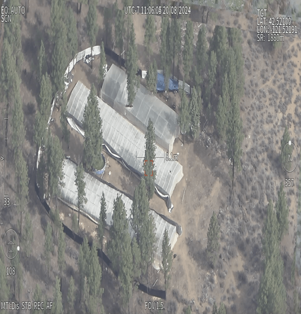 An aerial photo of one of the illegal marijuana grows near Sprague River