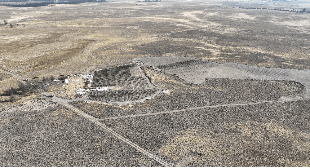 An aerial photo of the illegal marijuana grow site in Bly