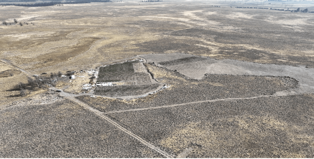 An aerial photo of the illegal marijuana grow site in Bly