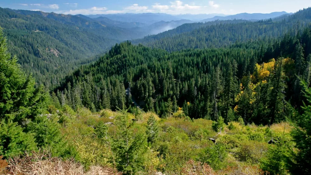 klamath-national-forest-jefferson-scenic-byway