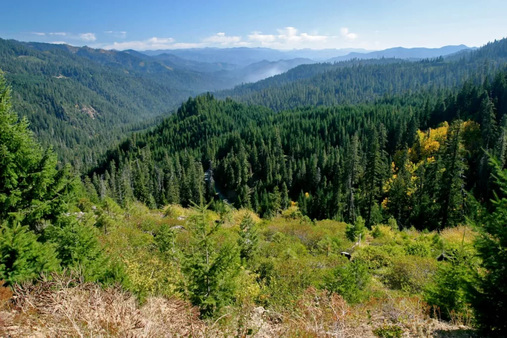 klamath-national-forest-jefferson-scenic-byway