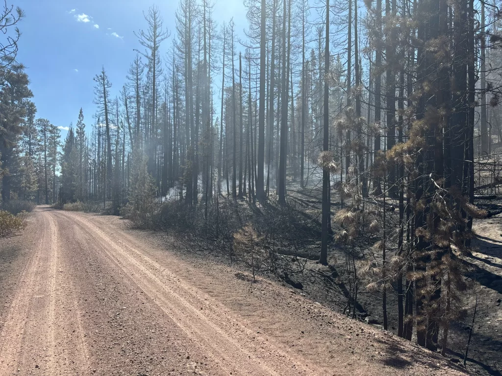 available-fuels-well-inside-the-secure-containment-lines-continue-to-burn-on-the-buck-creek-fire