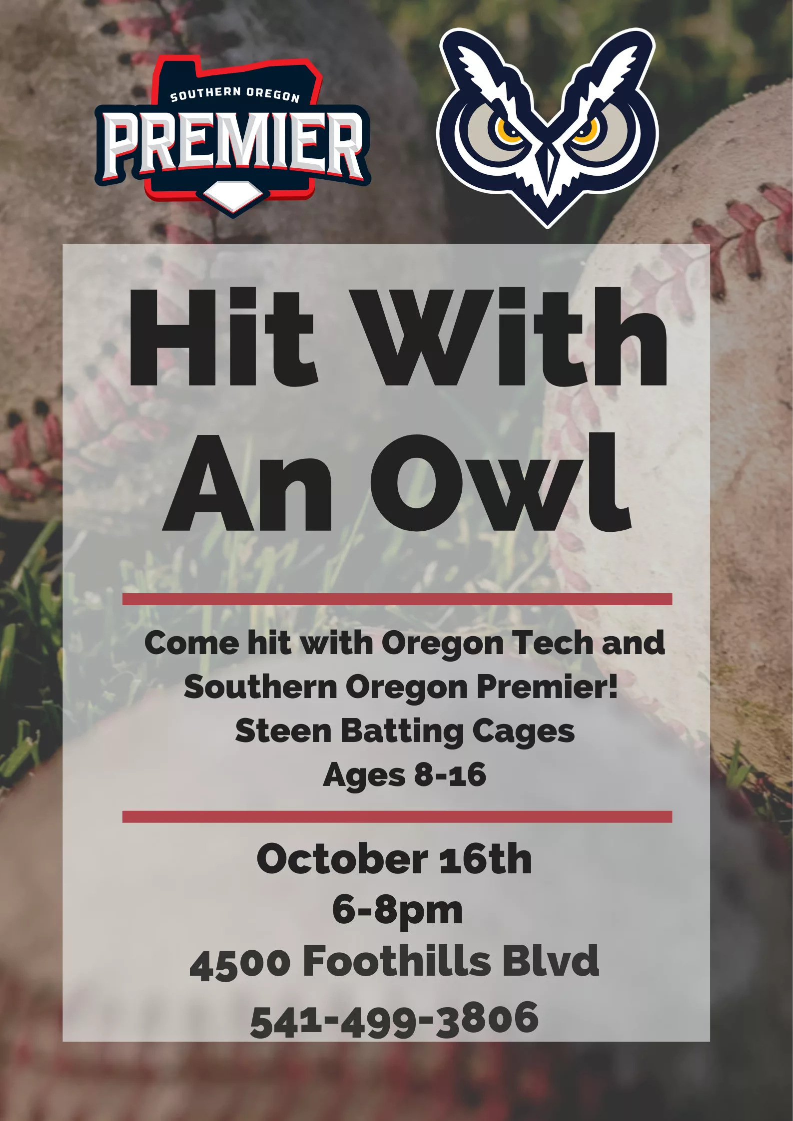 hit-with-an-owl-night-10-16