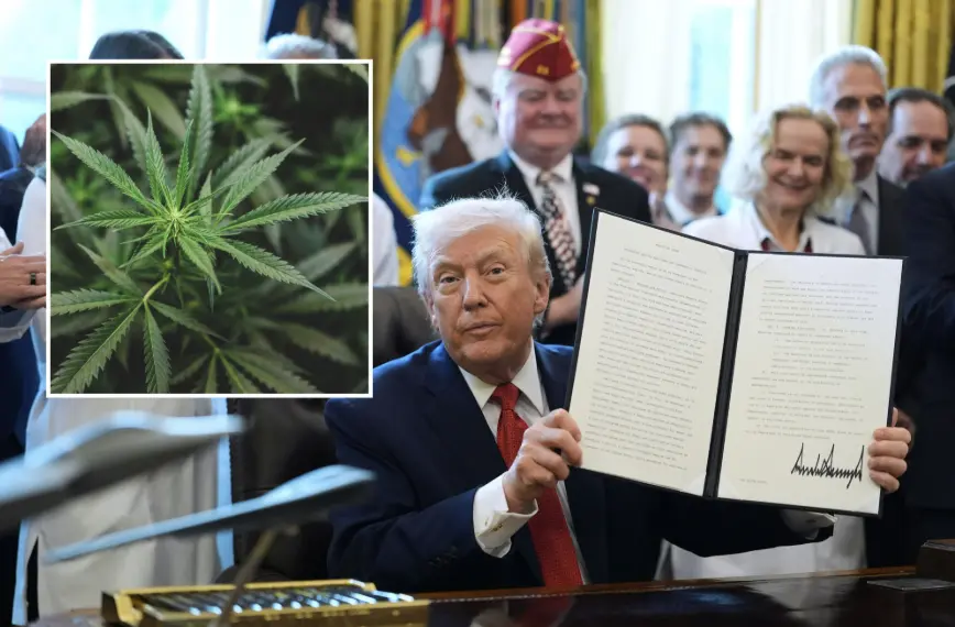 screenshot-2025-12-22-at-6-16-40-am