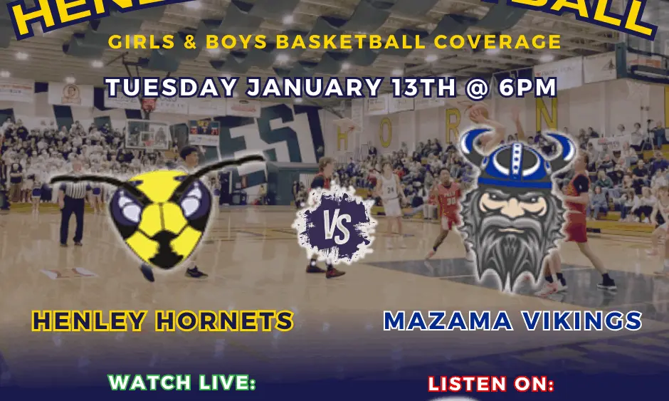 hornets-vs-vikings-1