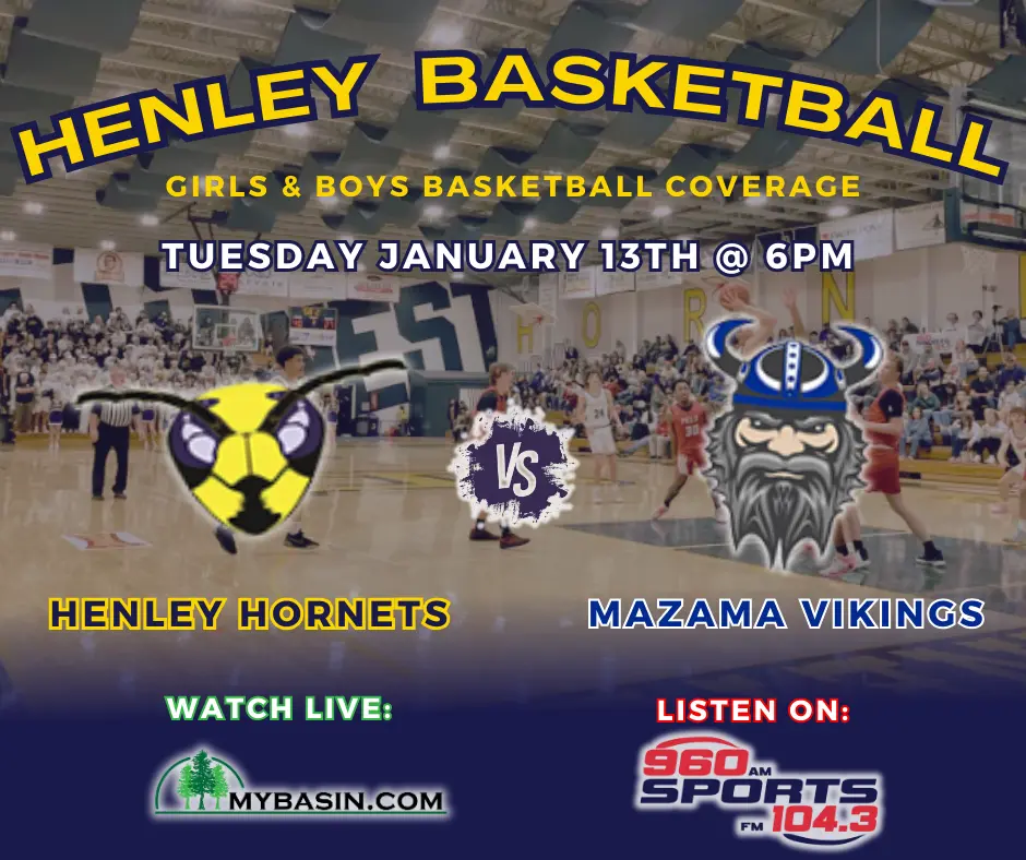 hornets-vs-vikings-1