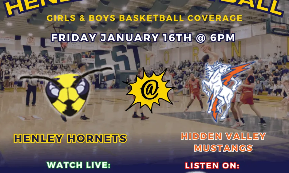 copy-of-hornets-vs-vikings