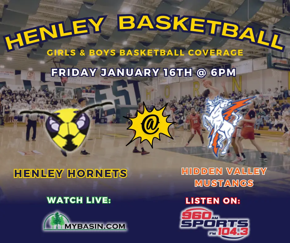 copy-of-hornets-vs-vikings