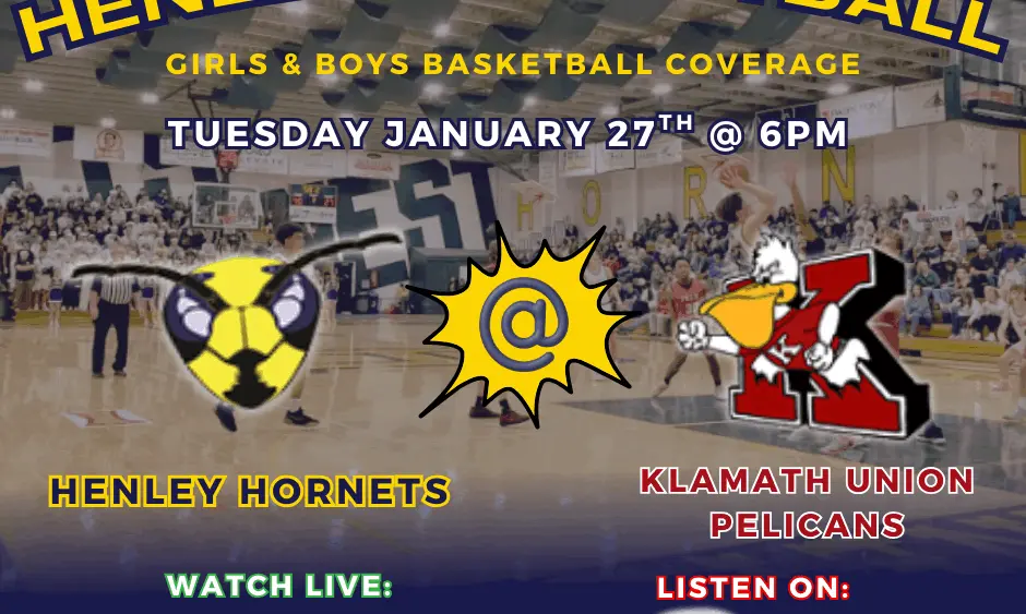 copy-of-hornets-vs-vikings-1