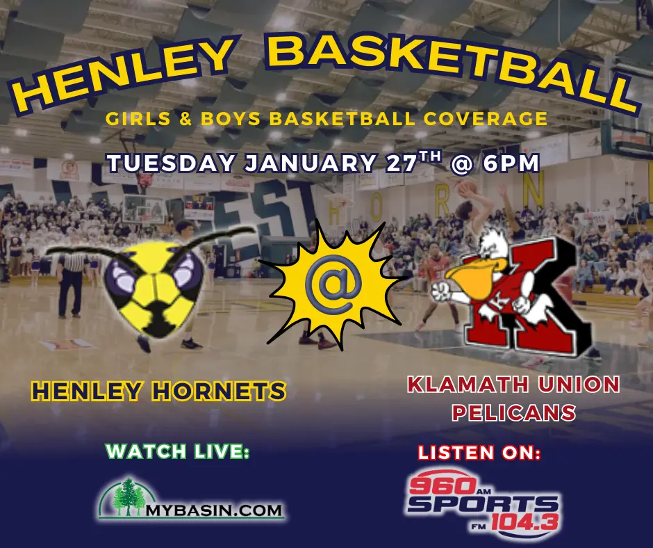 copy-of-hornets-vs-vikings-1