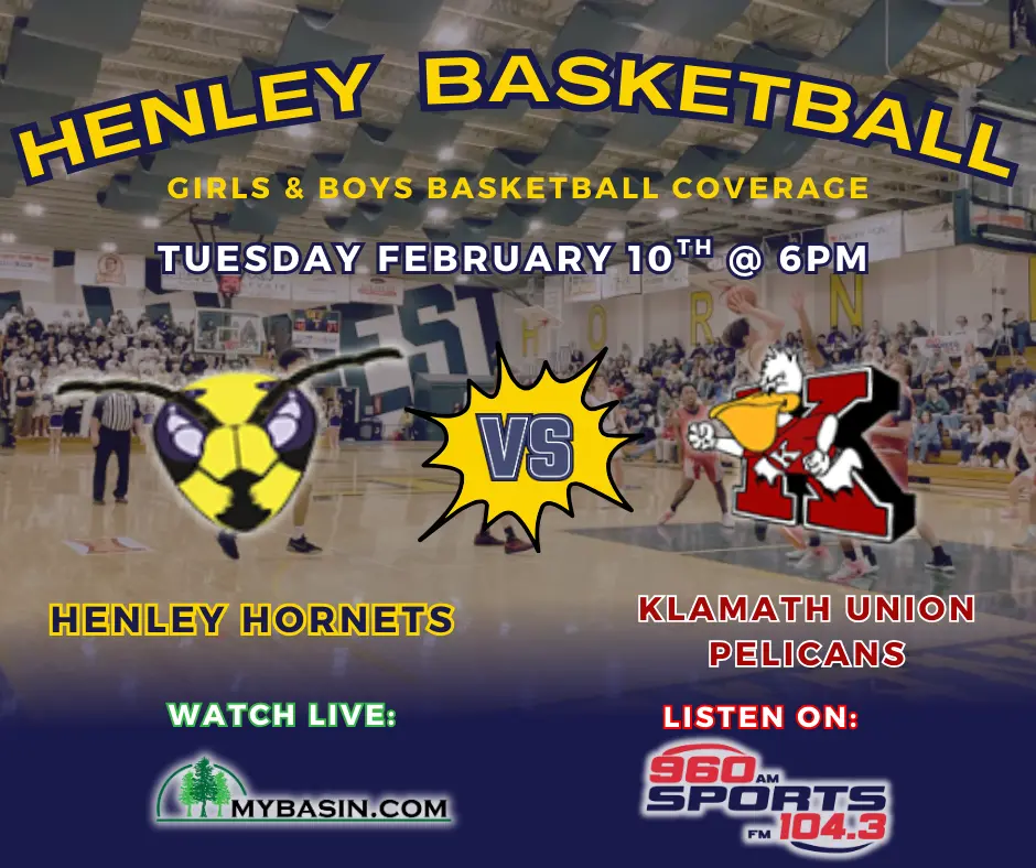 copy-of-copy-of-hornets-vs-vikings-2