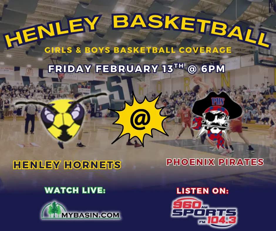 copy-of-copy-of-hornets-vs-vikings-3