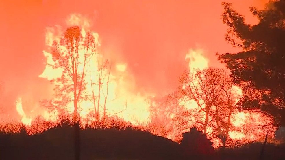 9f6614d4-dc68-44d6-bc65-2d6acc68494e-large16x9_katu082819eat_frame_1018