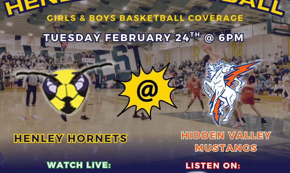 copy-of-copy-of-hornets-vs-vikings-4