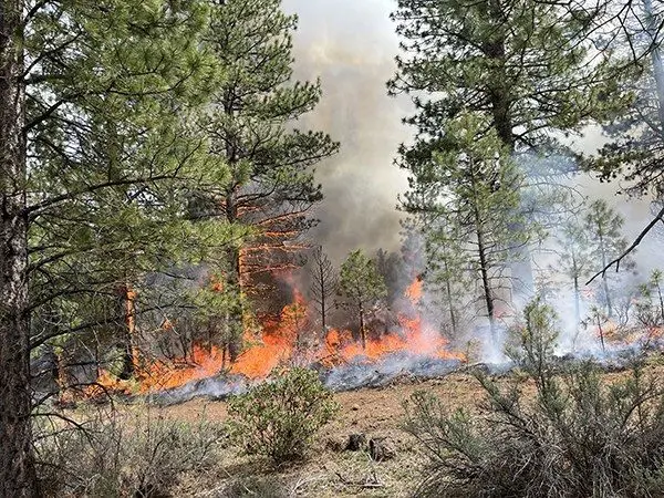 485737523_979562697688879_3979370166734168819_n