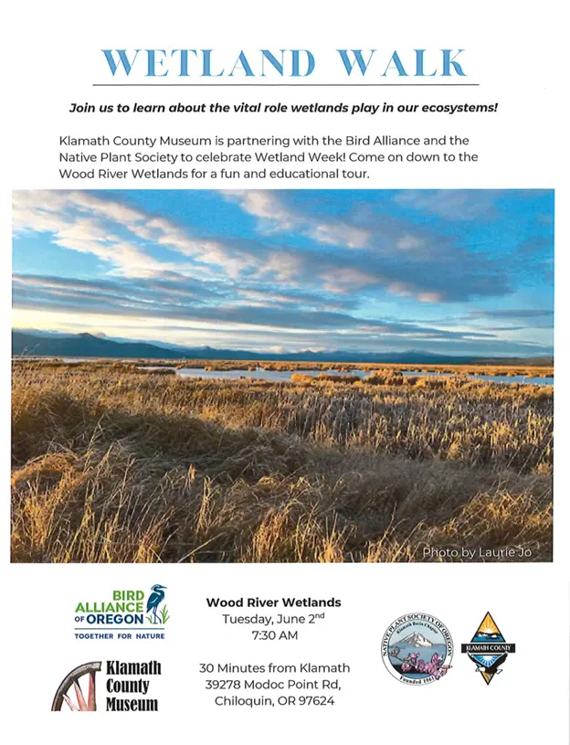 wetland-walk