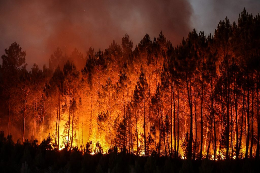 Governor Kotek Declares State of Emergency Due to Imminent Threat of Wildfire