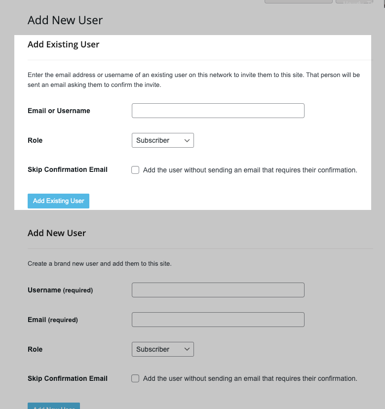 add existing user form