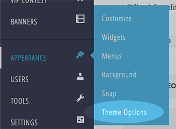 theme options link