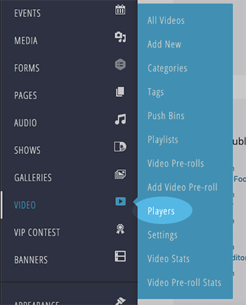 video players menu item