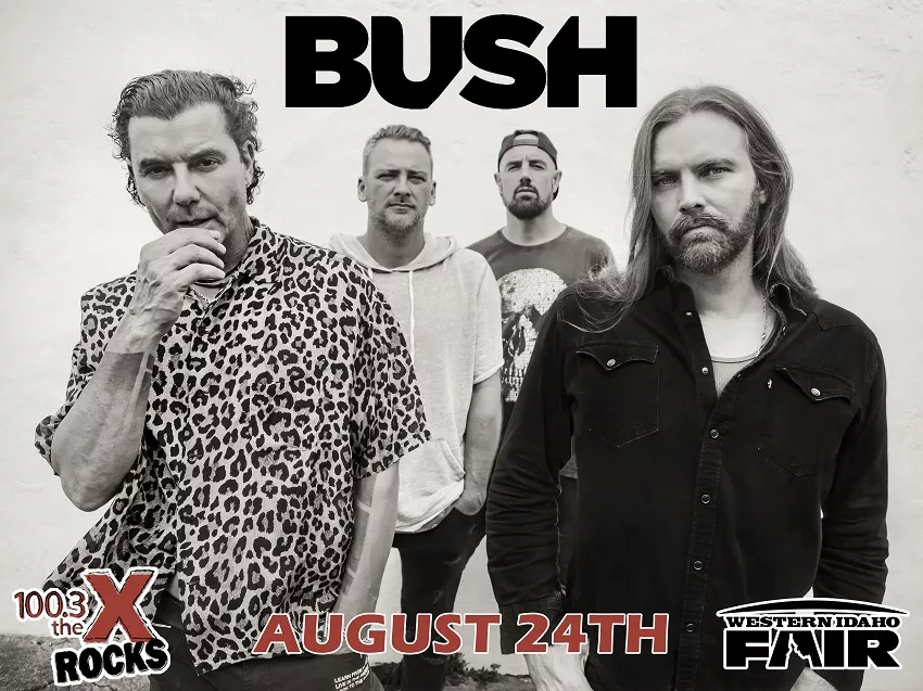 bush-announce-1