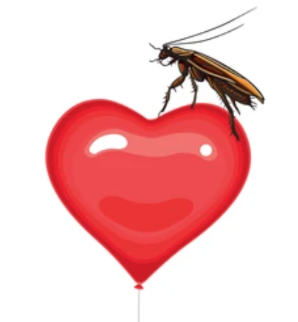 Cartoon image of a cockroach on a red heart-shaped balloon.