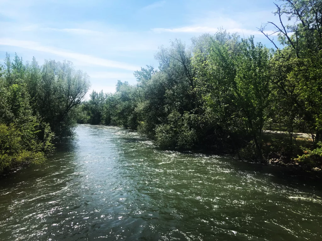 Picture of the Boise River