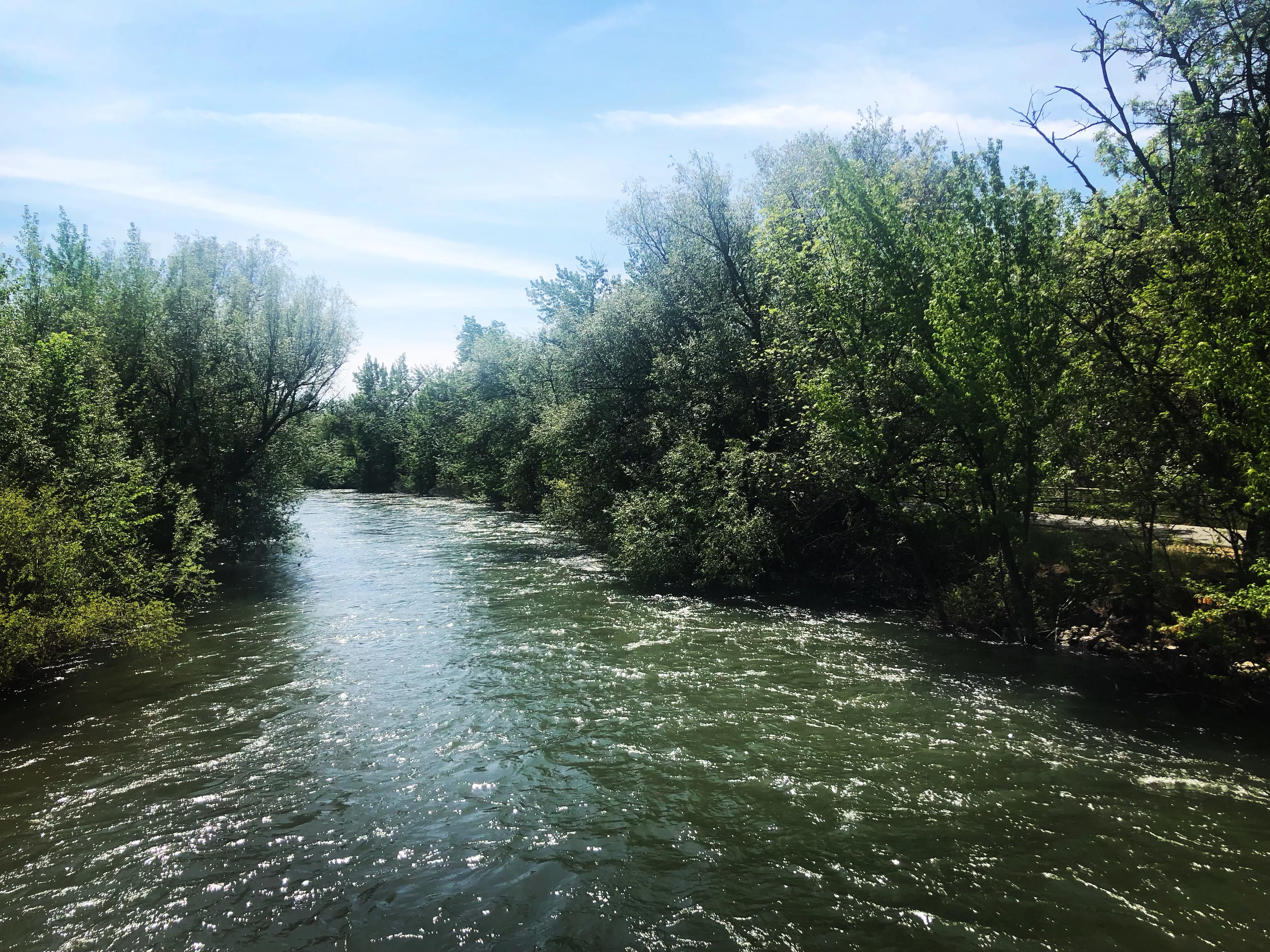 Picture of the Boise River