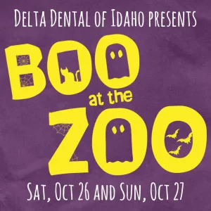 Zoo Boise Graphic for Boo AT The Zoo.  Yellow lettering on Purple background 