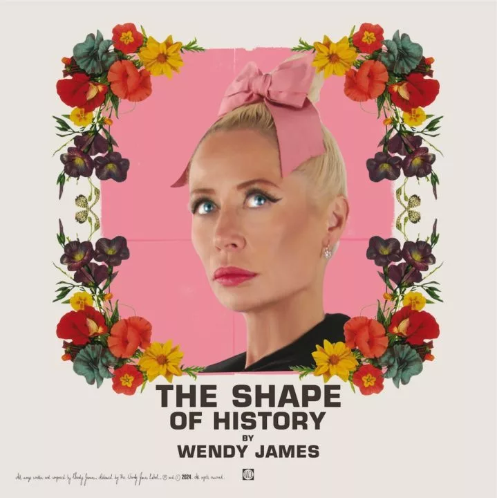 wendy-james-the-shape-of-history-packshot228355